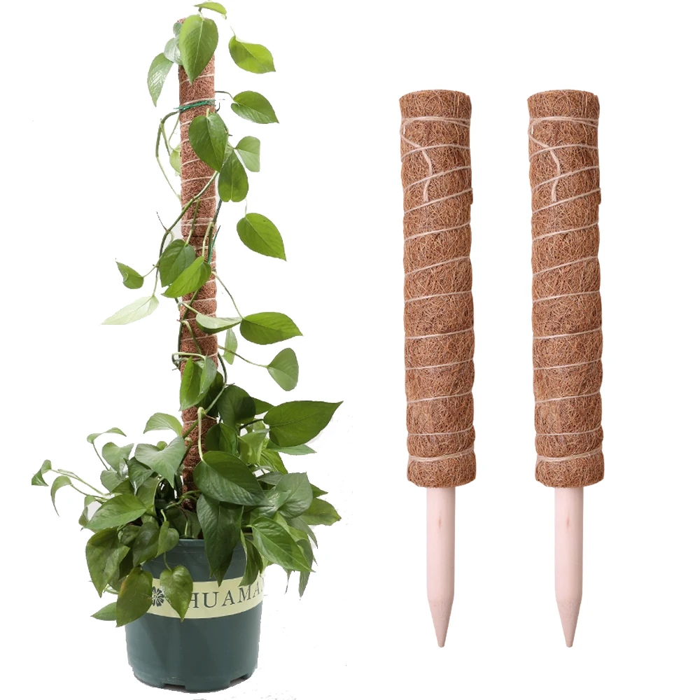 

Plant Cages Supports Reusable Plant Climbing Stand Durable Flower Plants Support for Balcony Garden Courtyard Easy to Use