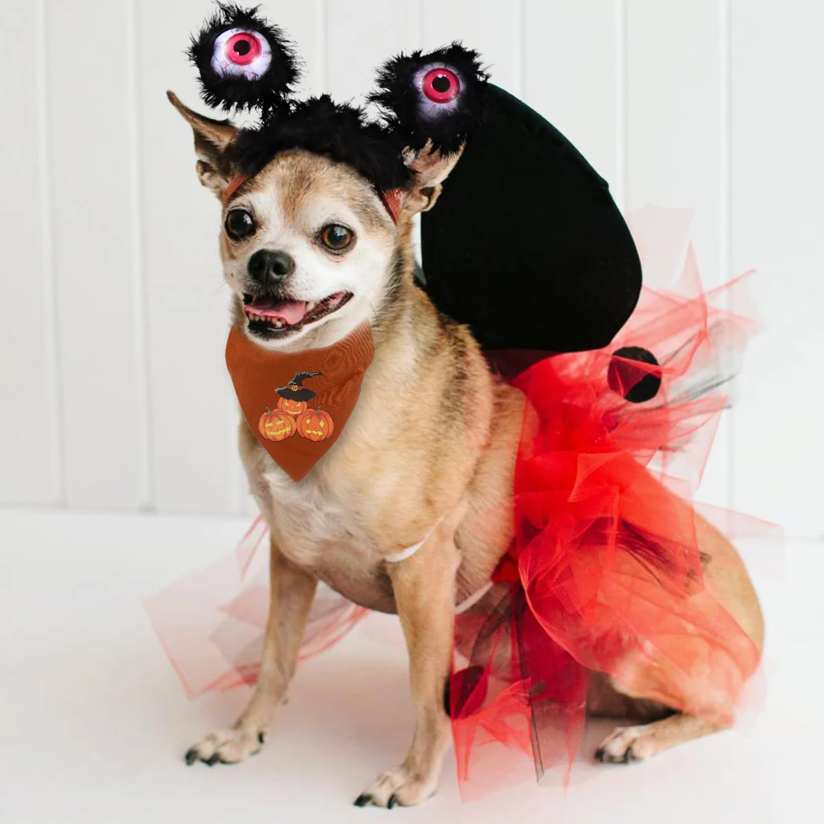 

1pc Cat Headband Costumes Hair Accessories Costumes for Cats Hat