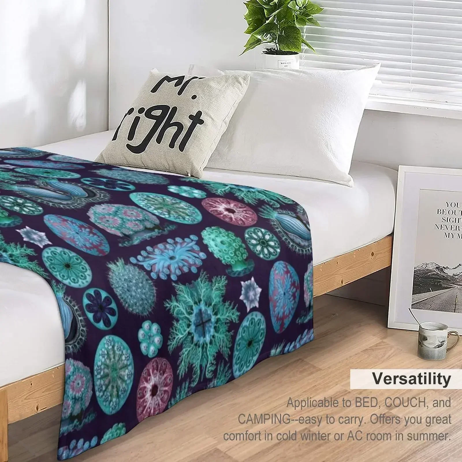 Ernst Haeckel Ascidiae Sea Squirts Бирюзовое цветное одеяло Теплые мягкие одеяла для кроватей