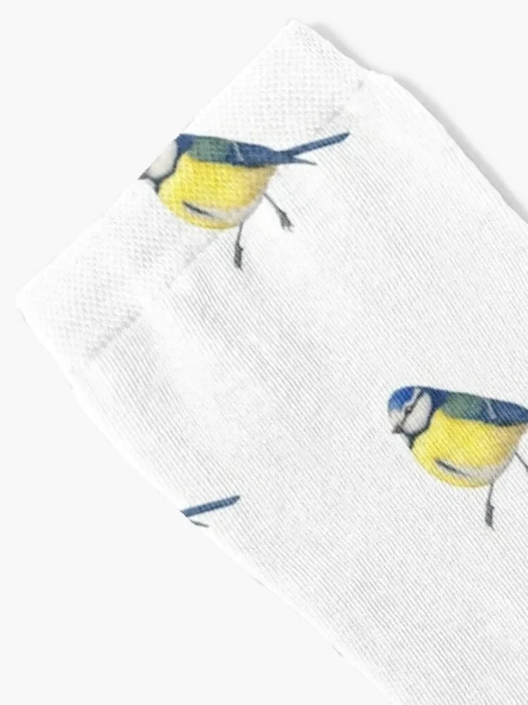 BlueTit-Blaumeise-птица Акварельная Иллюстрация-защита птиц и насекомых проект носки crazy