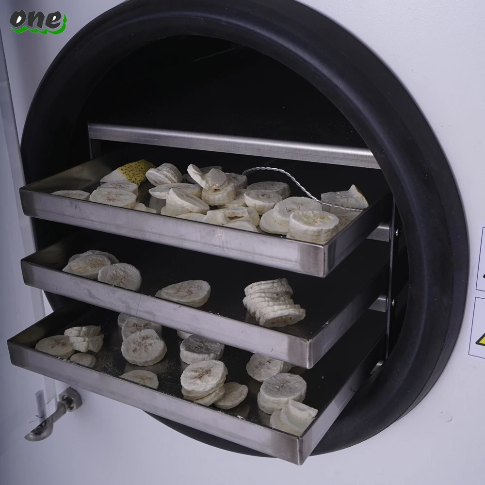 Лиофилизатор Lanphan для пищевых продуктов Liofilizador высушенных фруктов и овощей