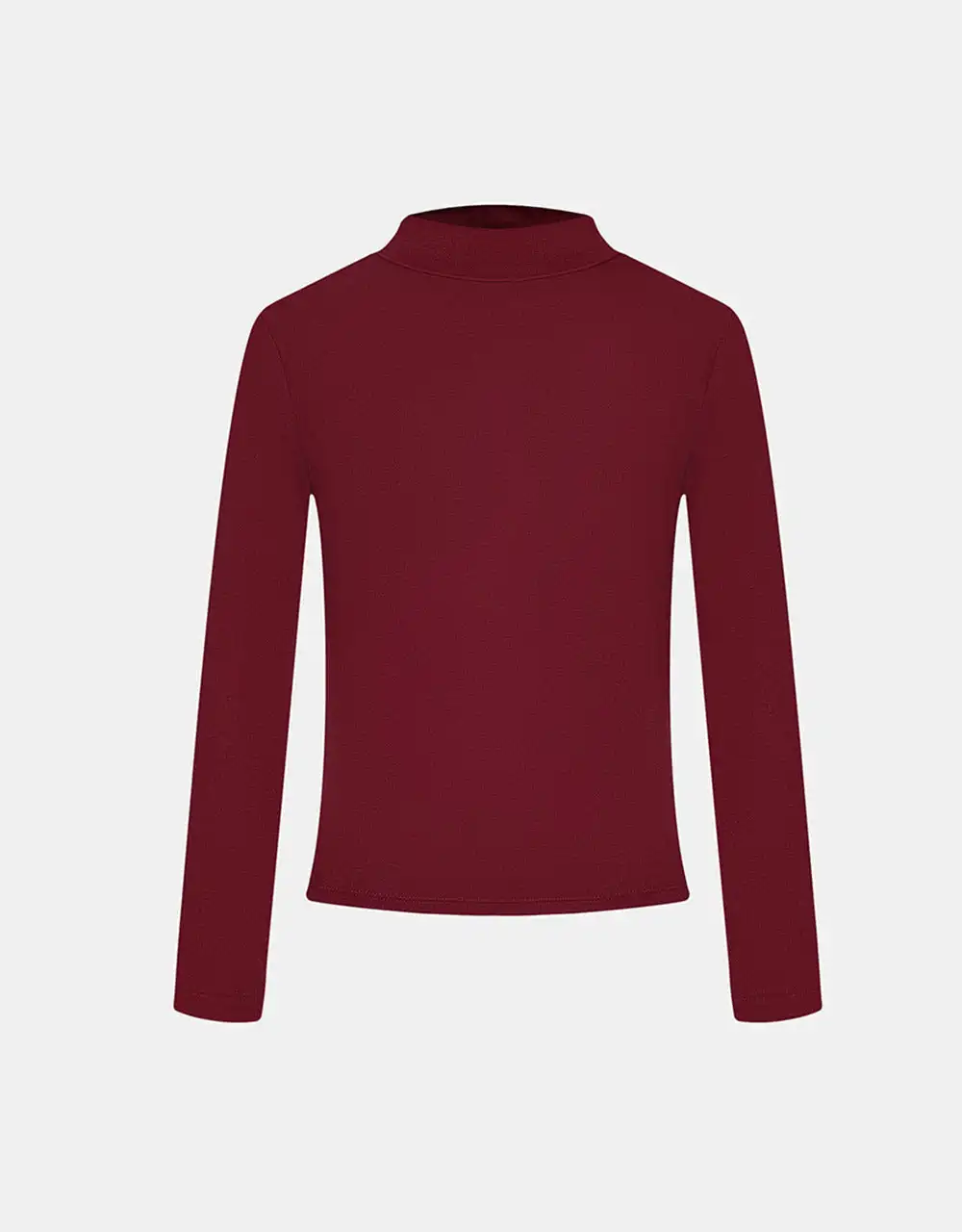 

Minimalistic Solid Turtle Neck Fitted Top