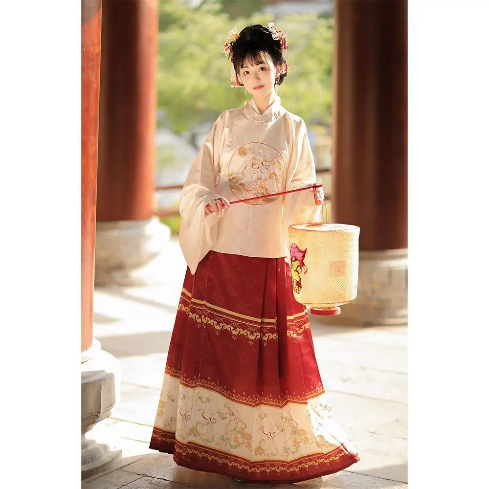 Женское платье Hanfu с вышивкой династии Мин круглым вырезом и рукавом бипа