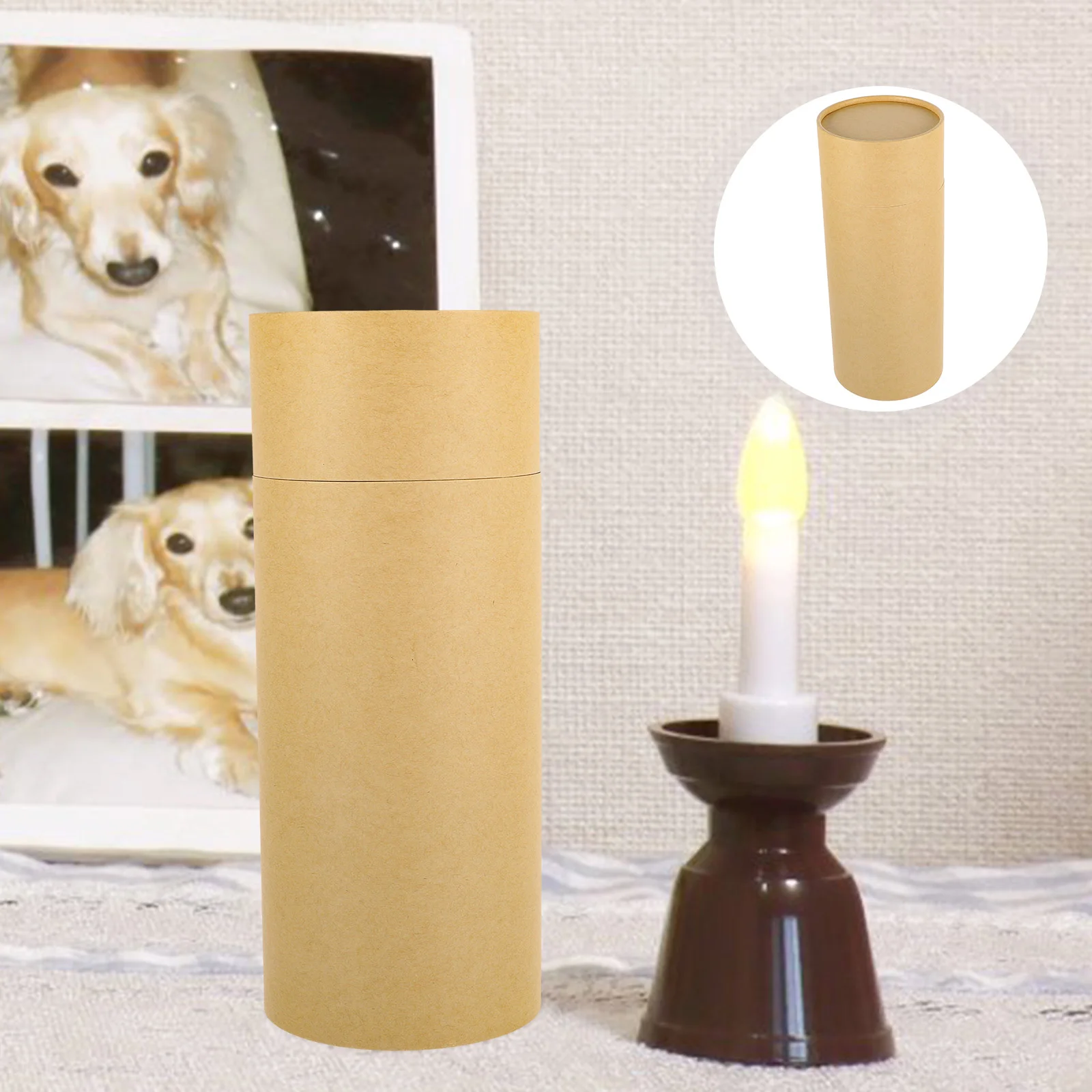 

Souvenir Box Cremation Urn Dog Ashes Biodegradable Urns Scatter Tubes Human Scattering