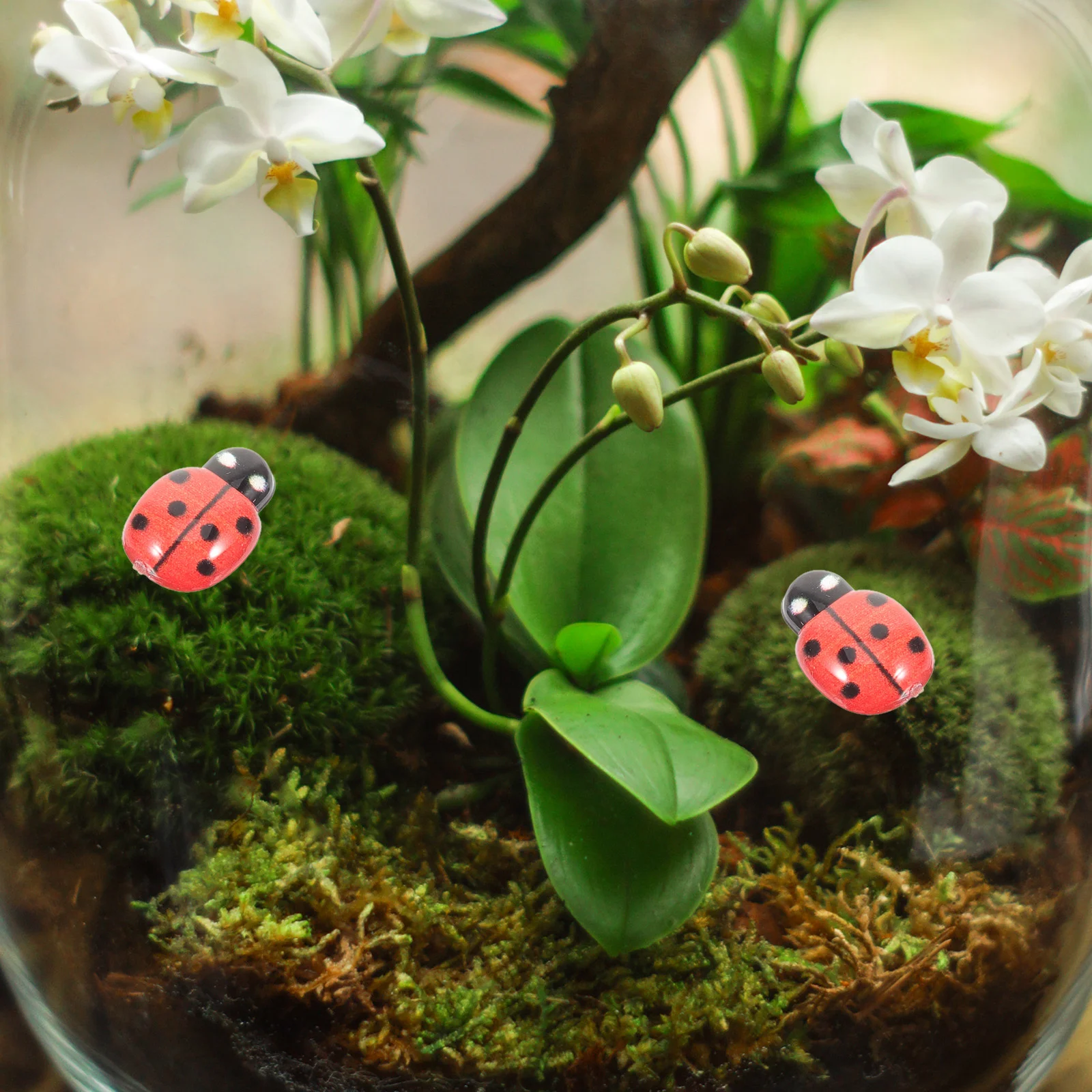 50 шт. сочные микропейзажи горшечные растения божья коровка подвески для поделок