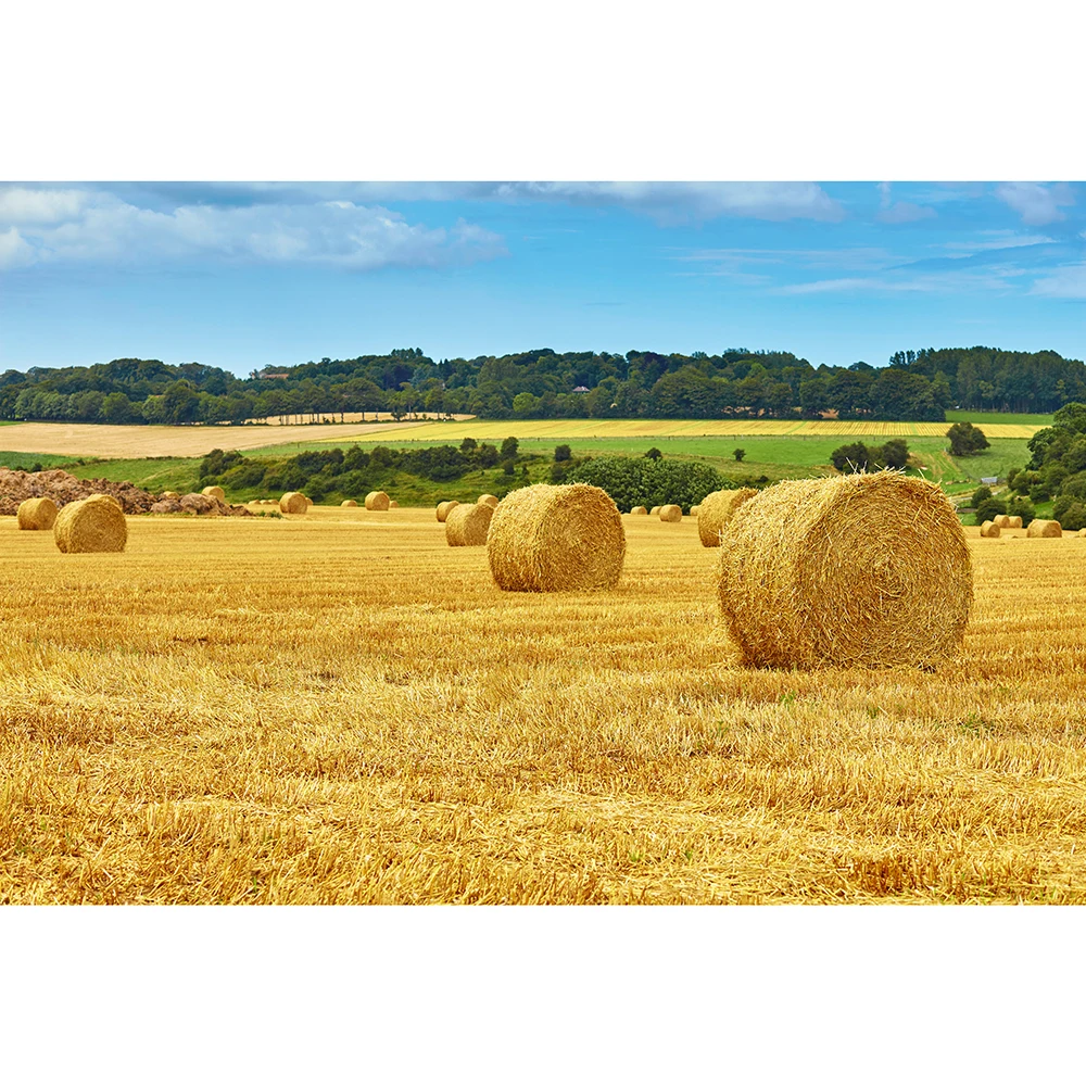 

Photography Backdrop Farm Wheat Field and Golden Haystack Natural Scenery Autumn Fall Background Photoshoot Party Banner Wall