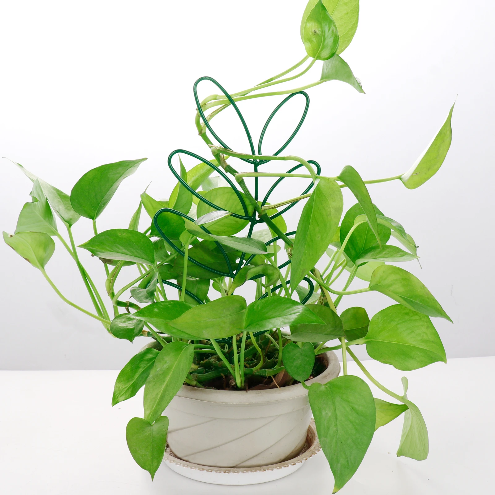 Plant Trellises Leaf Support Stand Beautiful Easily To Use Reused Black New Durable Rattan Climbing Iron Flower Rack - купить по