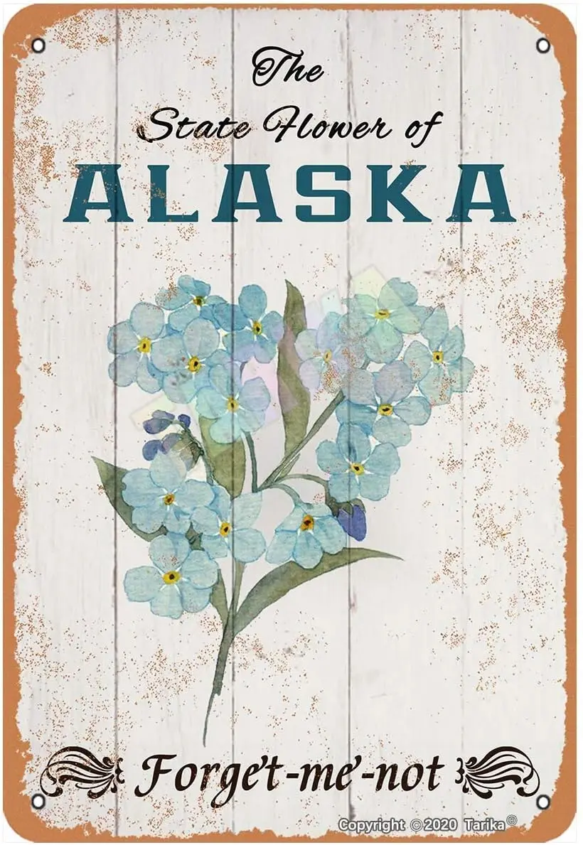 Государственный цветок Аляски забудьте о меня не для комнаты спальни ванной сада