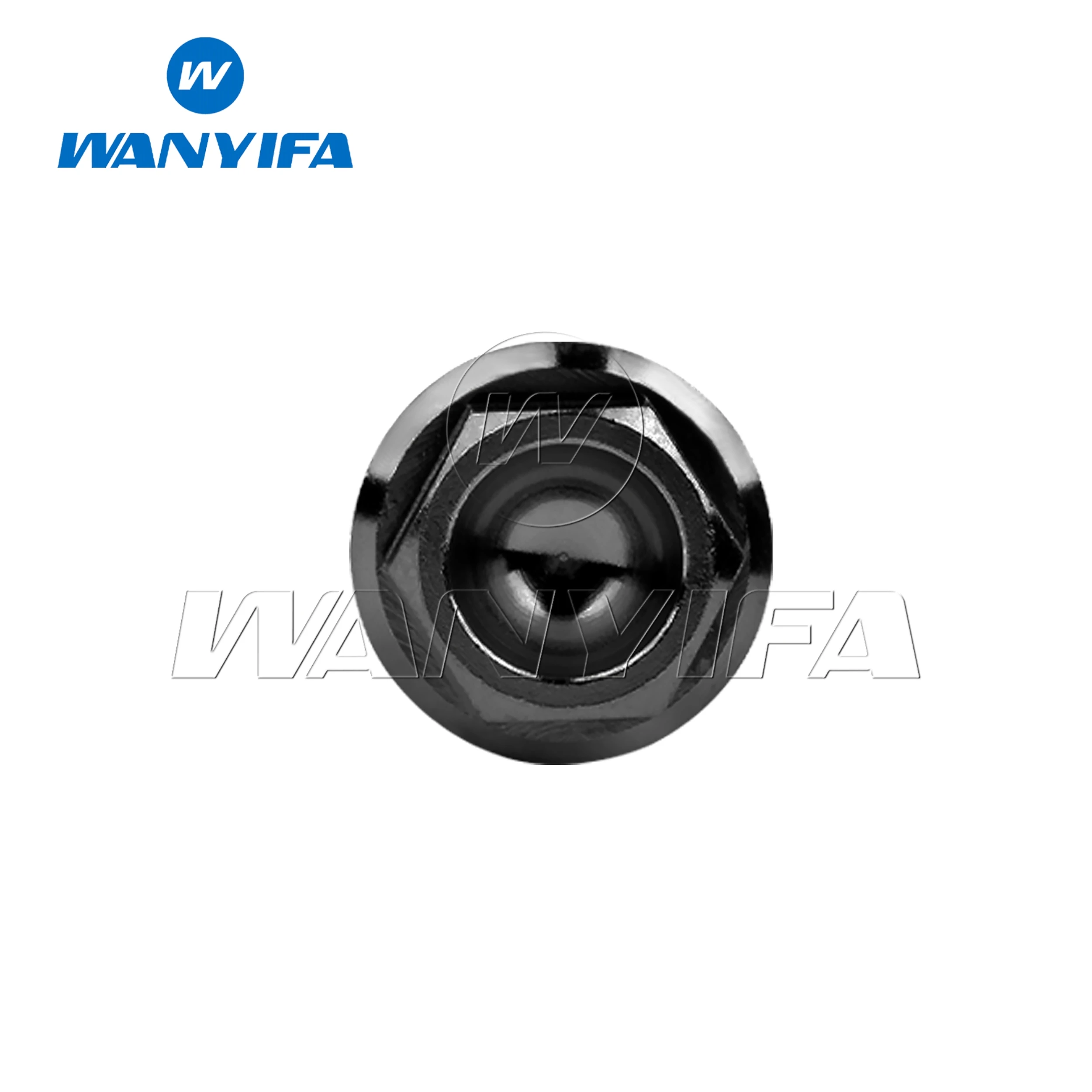 

Wanyifa титановые болты M6x10/15/20/25/30/35/40/45/50/55/60/65/70/75/80/90/100 мм