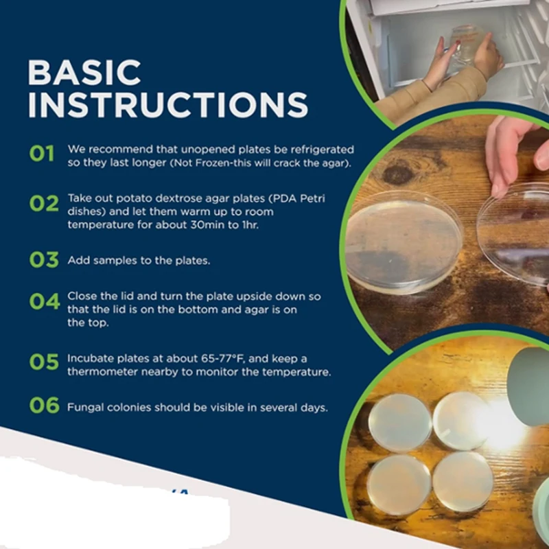 Декстроза для картофеля агар Петри бактериальная чаша грибов проект