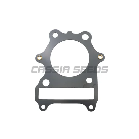 Прокладка для мотоциклетного двигателя комплект для Suzuki GN250 GZ250 Marauder SP250 ST250 ST250E TU250X TU250 GN GZ SP ST TU 250