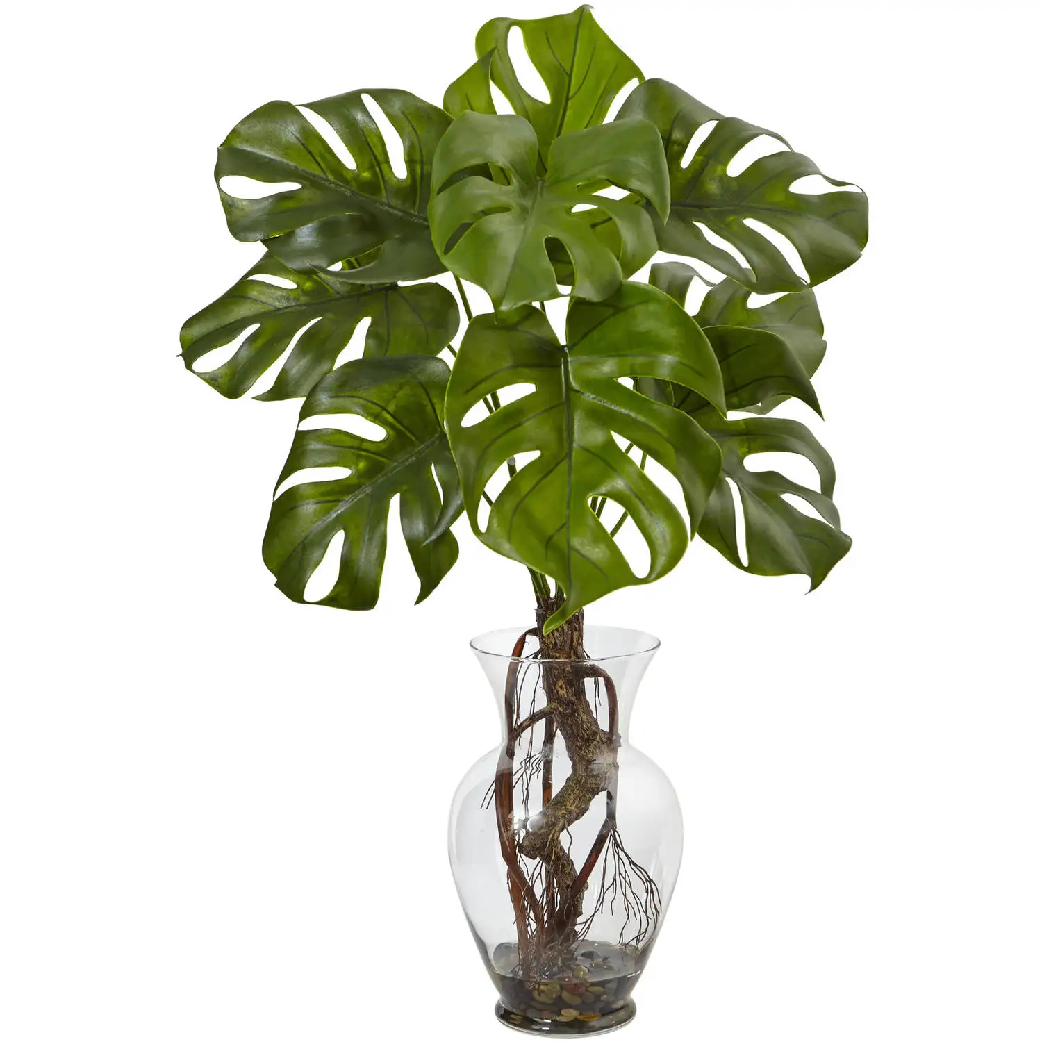 

26" Monstera Plant in Rocks with Glass Vase, Green
