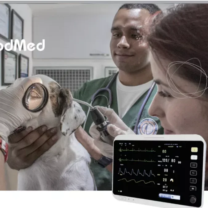 

VM12 Veterinary Monitor