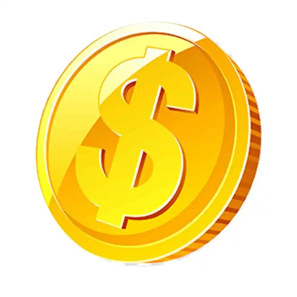 

Дополнительная доставка