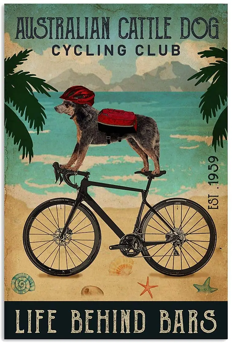 

Funny Metal tin Sign Cycling Club Australian Cattle Dog 8x12inches Home Decoration Wall Decor Sign Art Poster Man cave