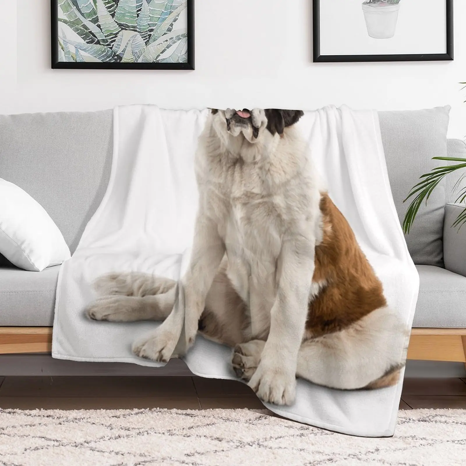 Одеяло для декоративных диванов с пациентом Сенбернард винтажные одеяла детские