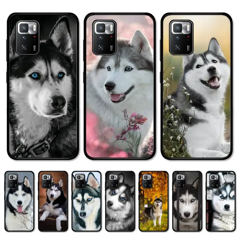

Alaskan Huskies Phone Case For Redmi Note 10 9 8 6 Pro 8T 5A 4X X 5 Plus 7 7A 9A K20 Cover