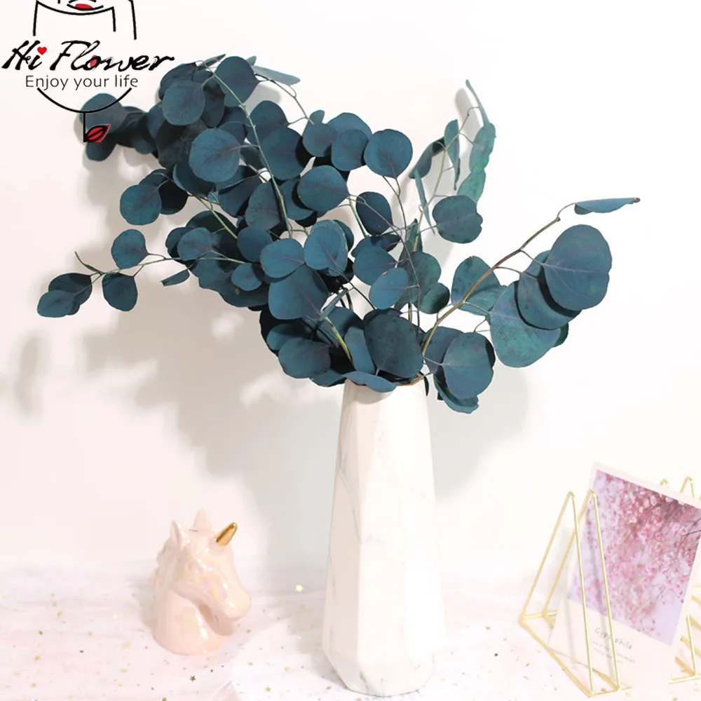 

Natural Dried Flowers Eternal Apple Eucalyptus Leaf Round Leaf preserved eucalyptus 100g Home Living Decoration Green Plants