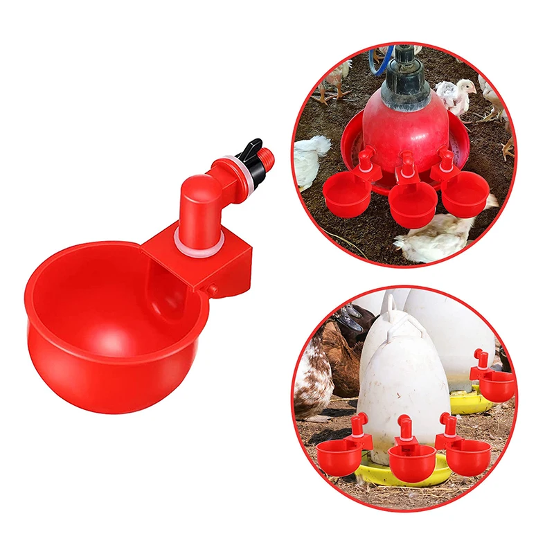 Chicken Drinking Bowl Automatic Poultry Drinking Bowl Chicken Drinking Cup Farm Chicken Coop Poultry Drinker Feeder For Chicks