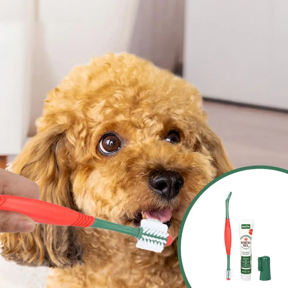 

1 Set Dog Toothbrush Soft Bristle Pet Toothbrush Pet Toothpaste Dog Tooth Cleaning Products
