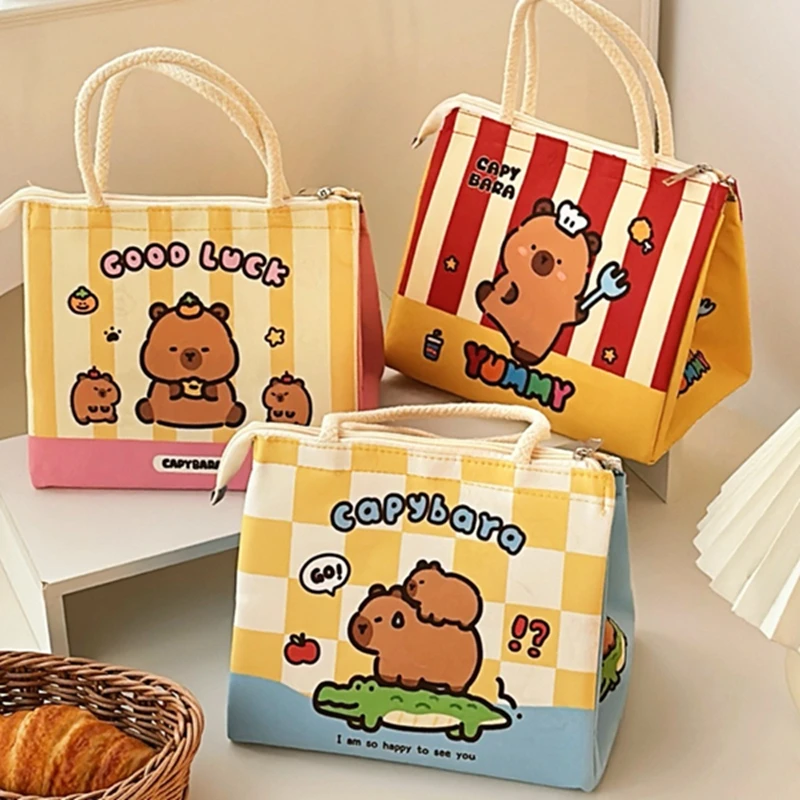Kawaii Cartoon Lunch Box Bag Изолированная сумка-тоут Bento Сумки для обеда женщин