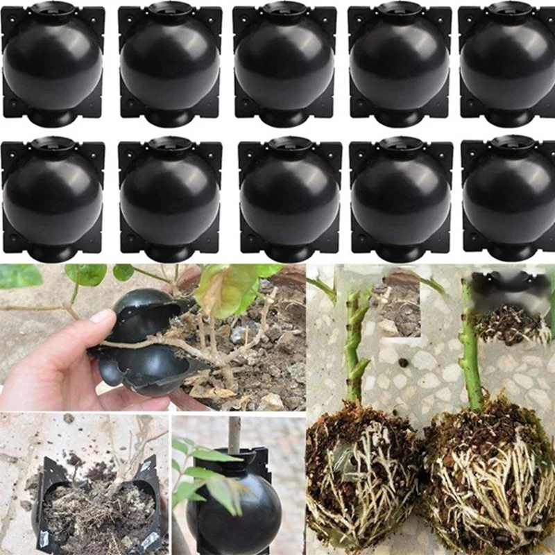 

20Pcs Reusable Plant Rooting Equipment Kit Cutting Grafting Rooting Box Branch Rooting Propagator Breeding Ball