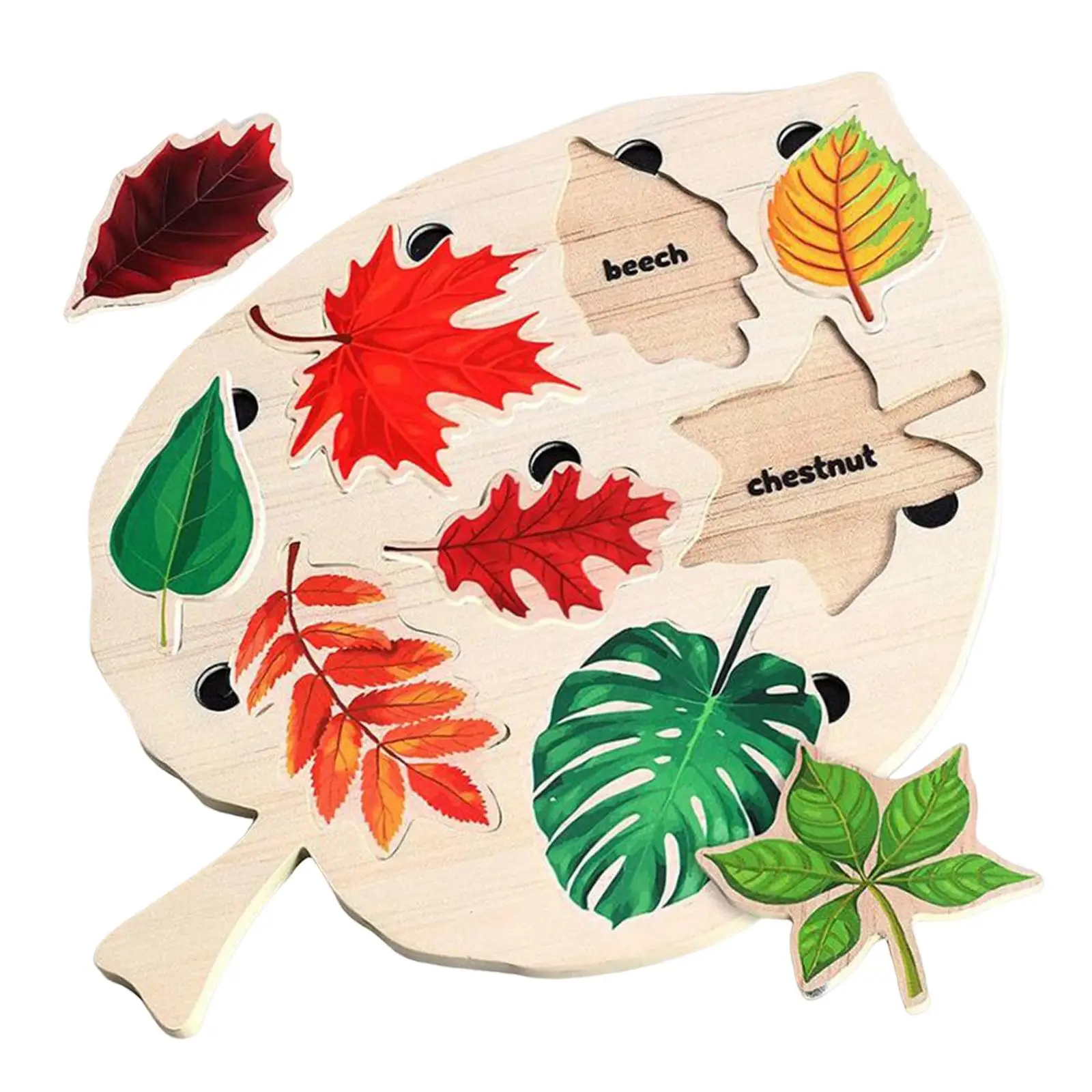 Leaf Wooden Jigsaw Puzzles Preschool Early Educational Toys Leaf Puzzle Montessori Toy for Boys and Girls Infants Birthday Gift images - 6