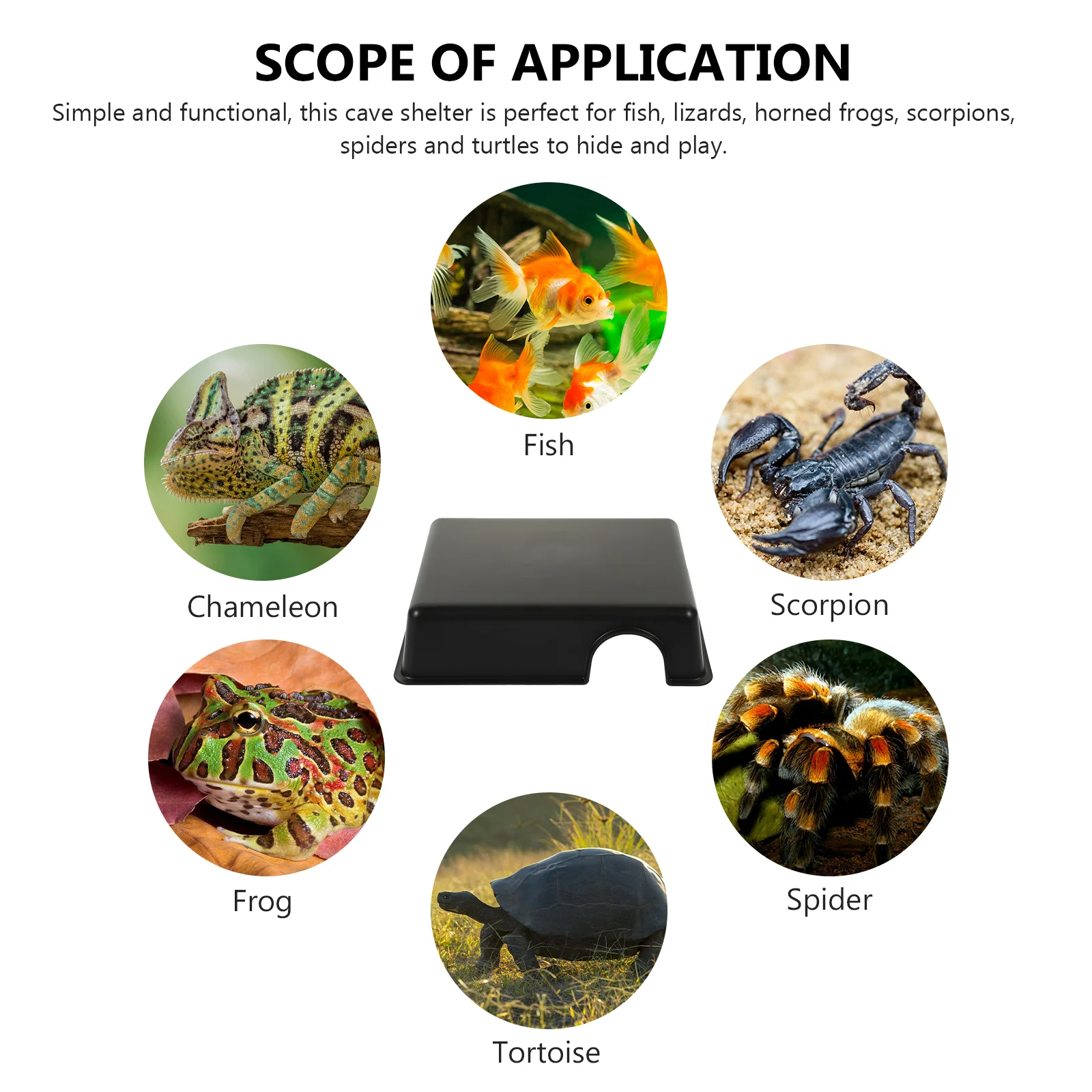 Черепаха рептилия скрывающая из пещер место для разведения домашних животных