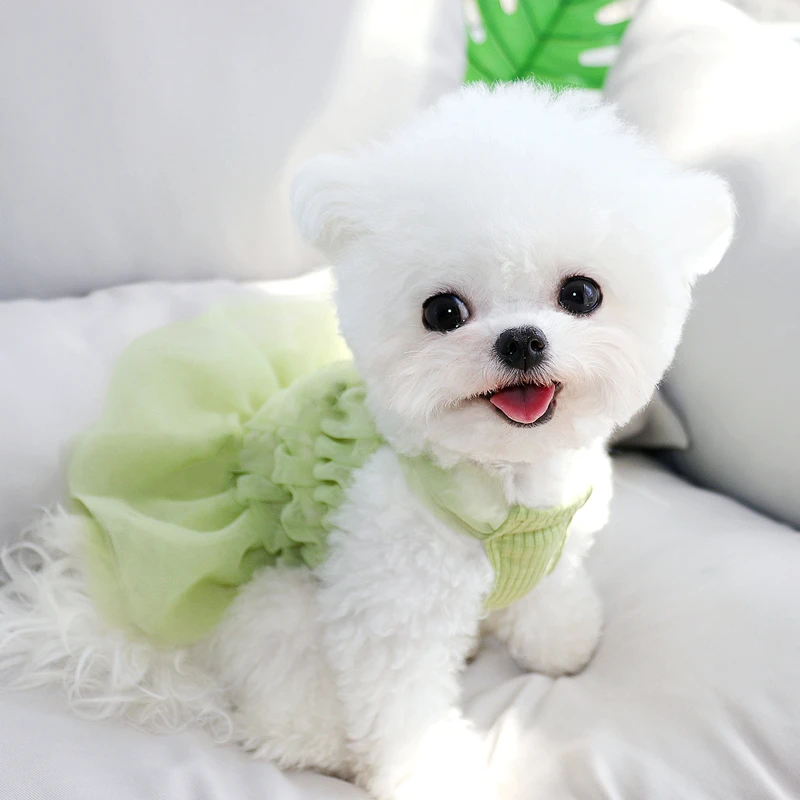 

Green Puppy Clothes Summer Thin Style Dress Teddy Bichon Pullover Small Dog Pet Princess Skirt Solid Color Dog Clothes