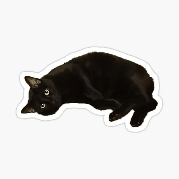 

Black Cat 5PCS Stickers for Art Cute Living Room Print Home Funny Cartoon Decorations Window Background Anime Car Bumper Room