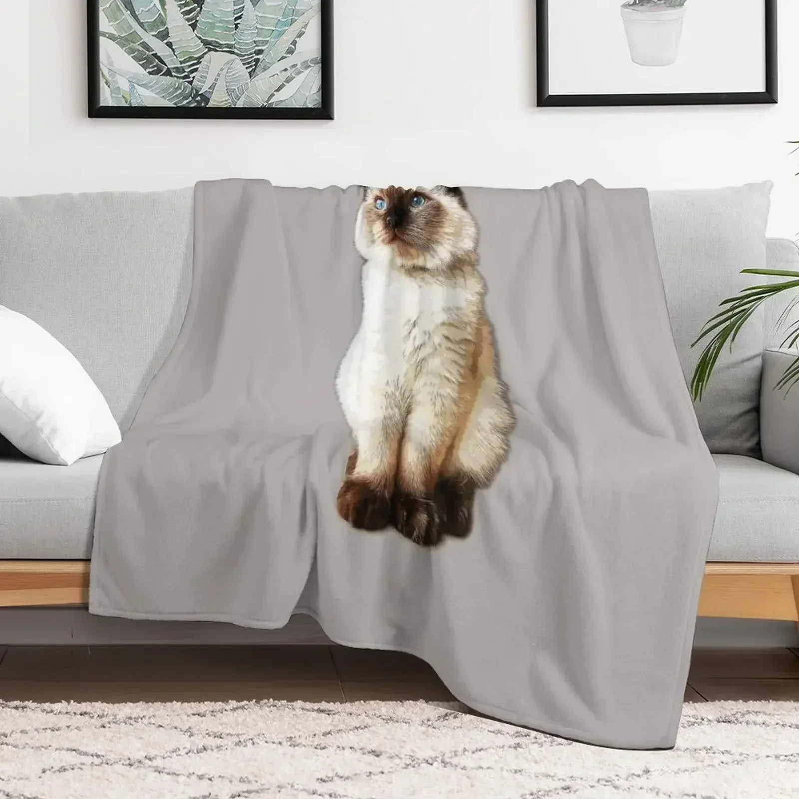 Рэгдолл Кот Тряпичная кукла Котенок Бирман Печатка Точка Плед Одеяло Гигантский