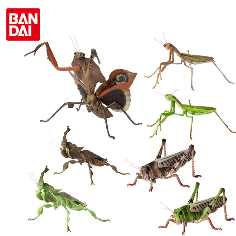

Bandai Gashapon The Diverysity of Life on Earth Collection Insect 02 Locust Simulation Giant Joints Movable Action Figure Toys