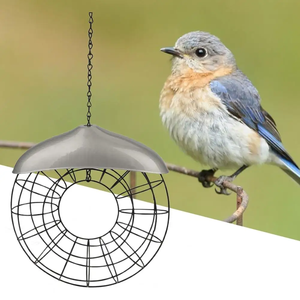 

Bird Feeder with Lanyard Windproof Large Capacity Heavy Duty Feeding Metal Frame Squirrel Proof Bird Feeder Tray for Backyard