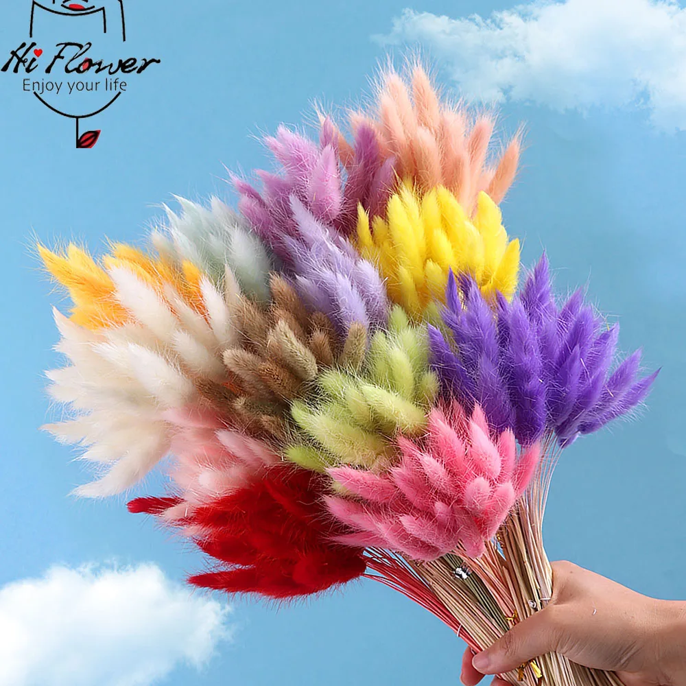 60pcs Real Natural Floral Dried Flowers Bunny Rabbit Tail Grass Mixed Bouquet Colorful Lagurus Ovatus for Photo Props Decoration