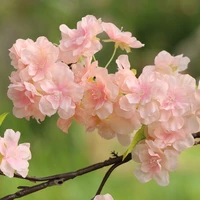 artificial flower cherry blossom cherry tree silk flower spring cherry bonsai arch wedding props home decoration fake flower