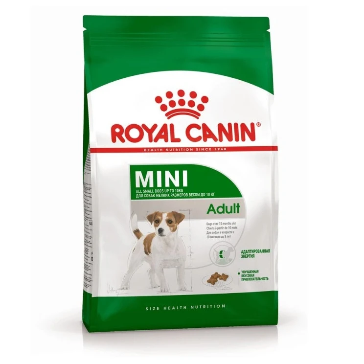 Dry food Royal Canin mini adult for dogs of small breeds from 10 months to 8 years 2 kg |
