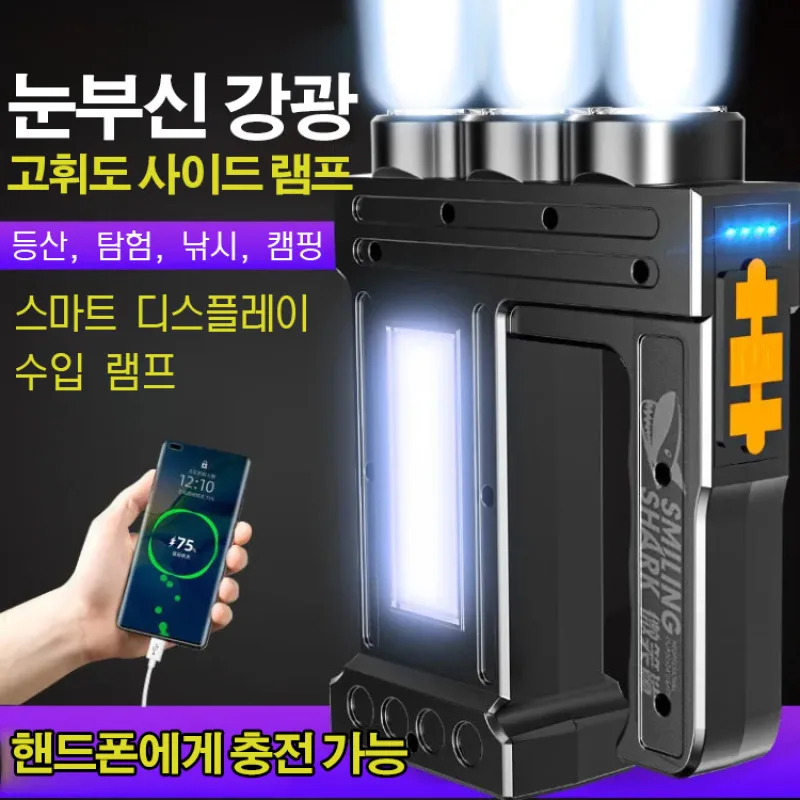 

Handle-type flashlight with powerful lighting power and rechargeable function