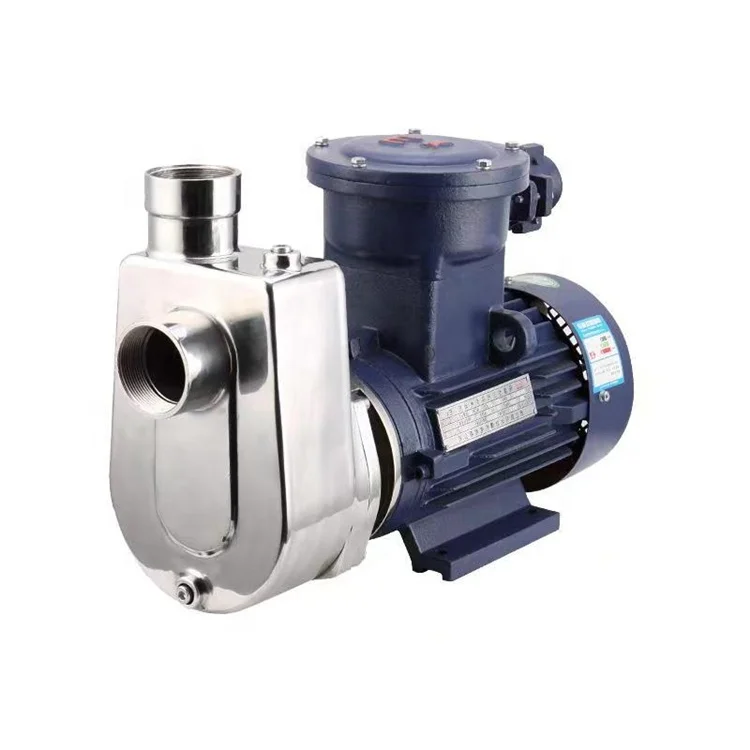 Explosion proof pumps