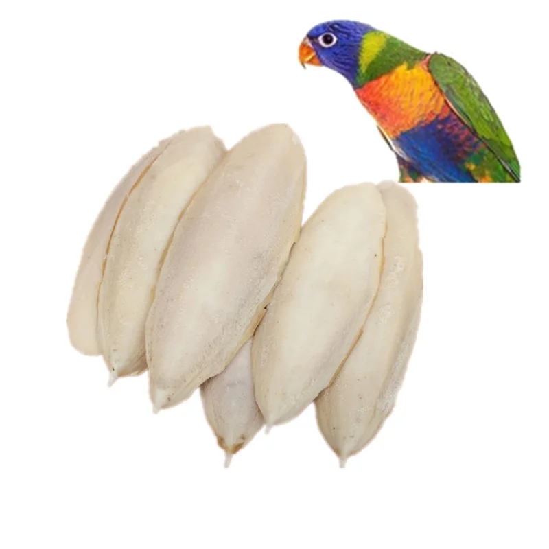 

1 Pack Cuttlebone Cuttlefish Sepia Bone Cuttle Fish Bird Food Pickstone Pet Supplies Parrot Toys Birds Teeth Grind Training
