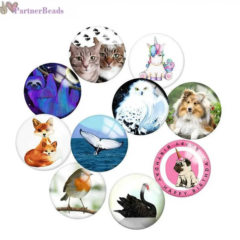 

Animal Round Photo Glass Cabochon Demo Flat Back Making Findings 20mm Snap Button N5151