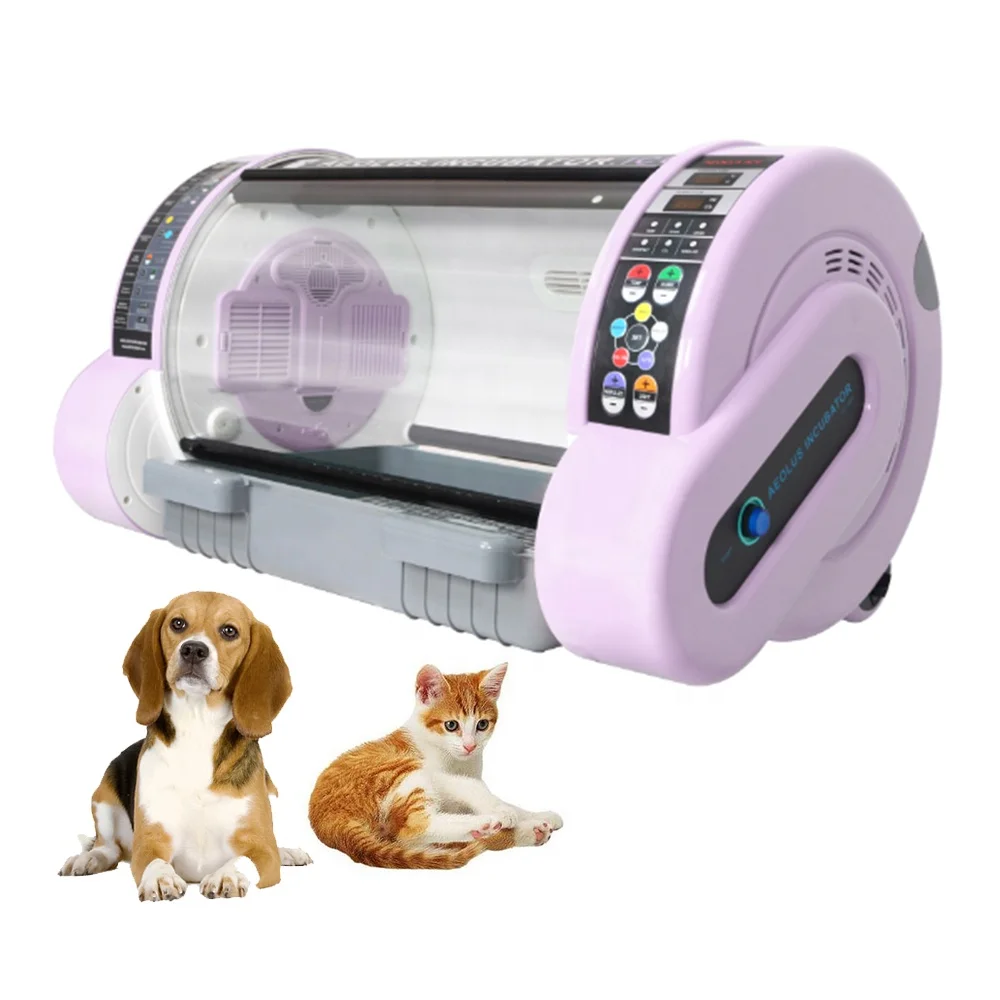 

Automatic Medical Veterinary ICU Incubators Pet Cat Dog Puppy Incubator for Sale