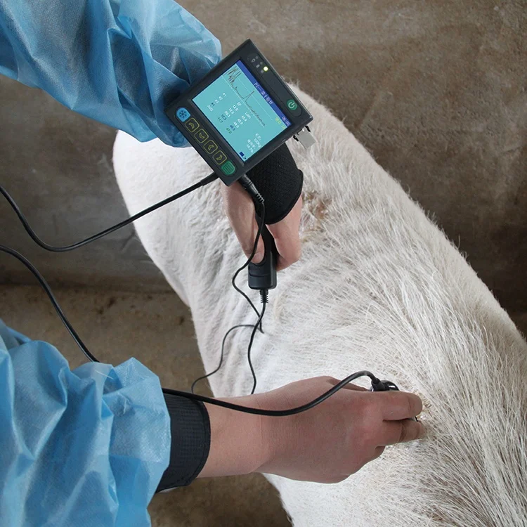 Дешевая электронная ультразвуковая машина со стандартным цифровым механическим