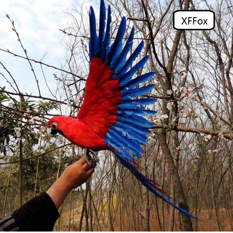 real life wings parrot model foam&feather red&blue parrot doll gift about 45x60cm d0181