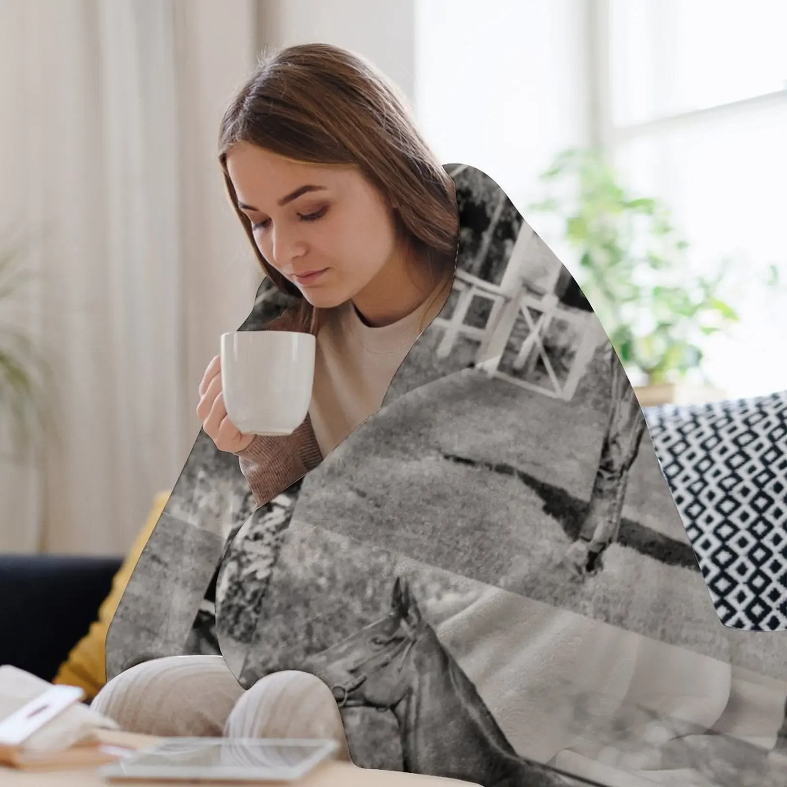 Чемпион австралийской гоночной лошади Phar Lap. Плед плед на диван Симпатичные