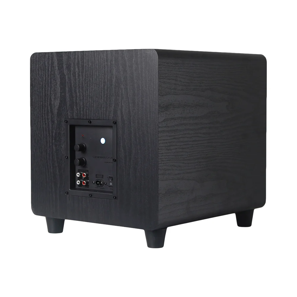 

Loudspeaker Big Power 10 inch Active portable Subwoofer Professional Woofer Amplifier Box