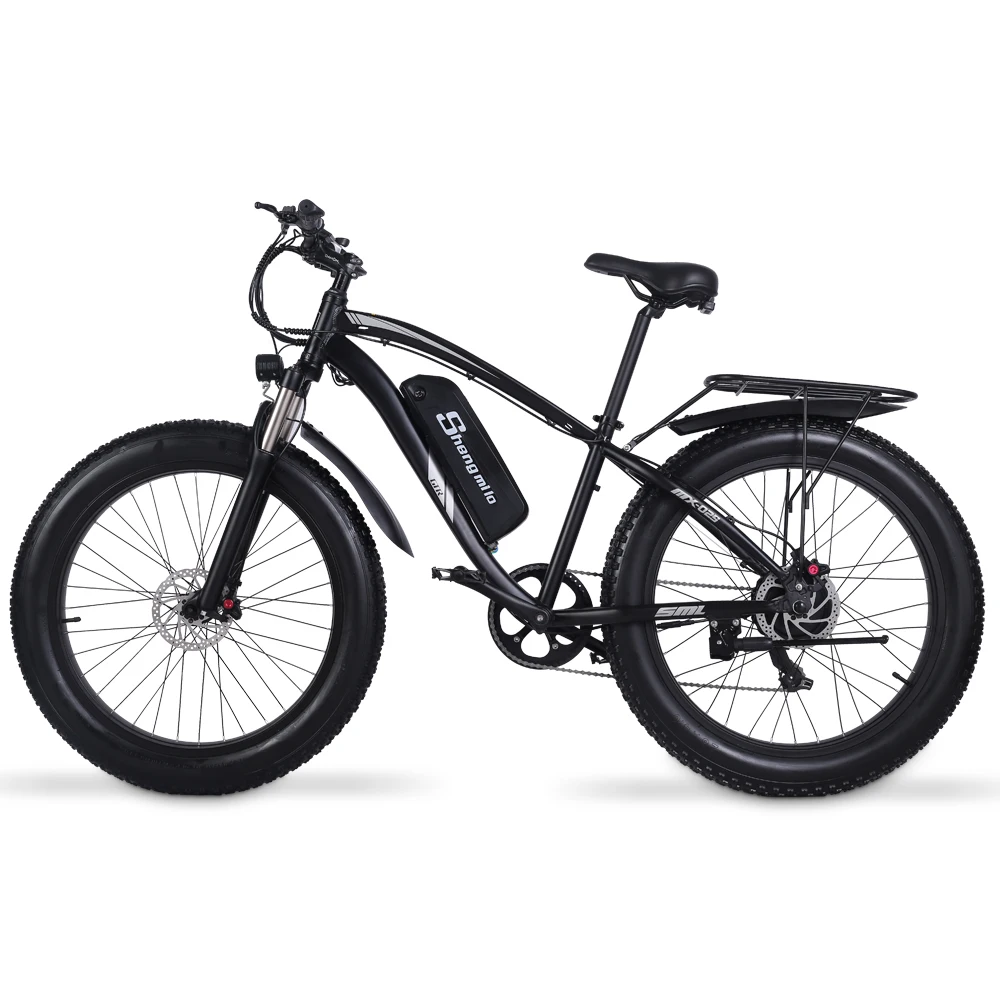 1000 w electric bike