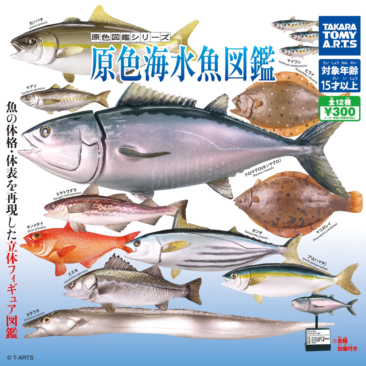 

TAKARA TOMY Genuine Gacha Toys Sea Fish Atlas Three Dimensional Encyclopedia Tuna Pufferfish Salmon Flounder Hairtail Ornaments