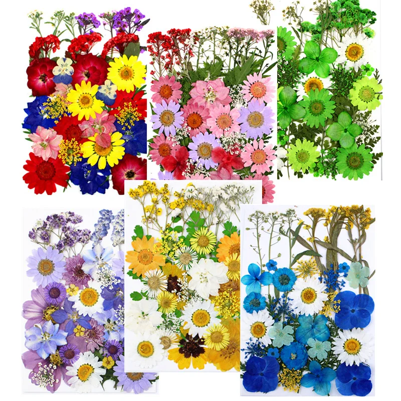 

Сочетание сухих цветов с тиснением, искусственный компактный цветочный материал, искусственные цветы, настоящие цветы и тисненые настоящие листья.