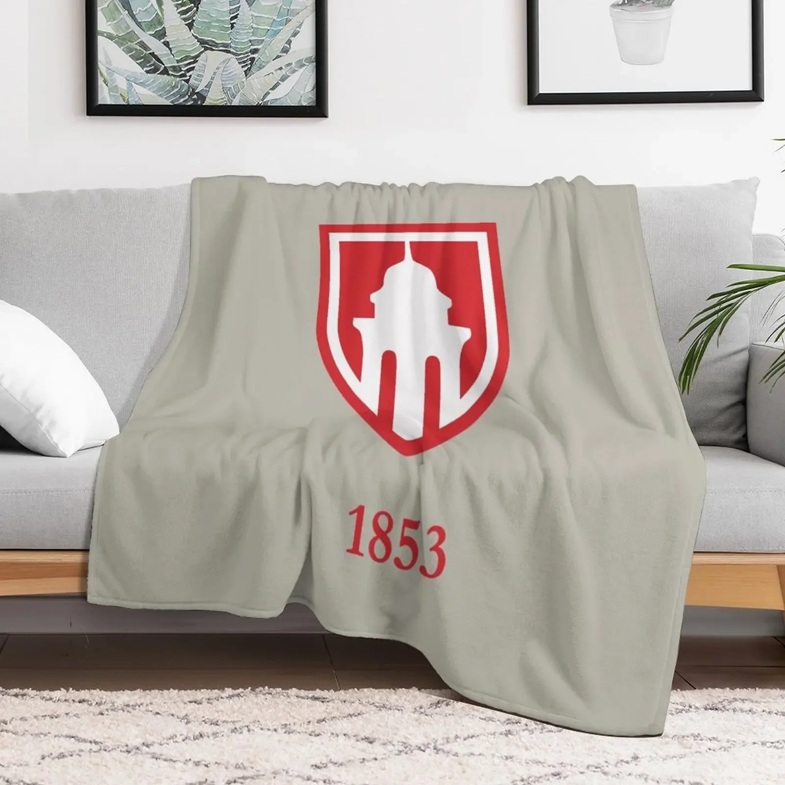 Одеяло Monmouth для колледжа тонкое забавное