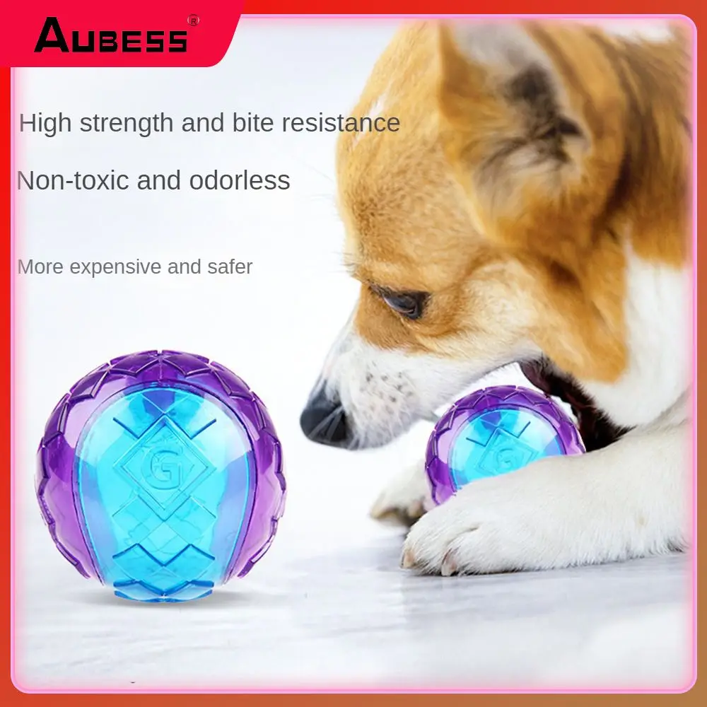

Food Grade Tpr Dog Toys Dogs Body Shape Design Dog Bouncing Ball Decompress And Relieve Stress Special Texture Surface Dogball